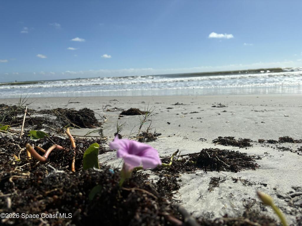 150 Portside Avenue, Cape Canaveral, FL 32920