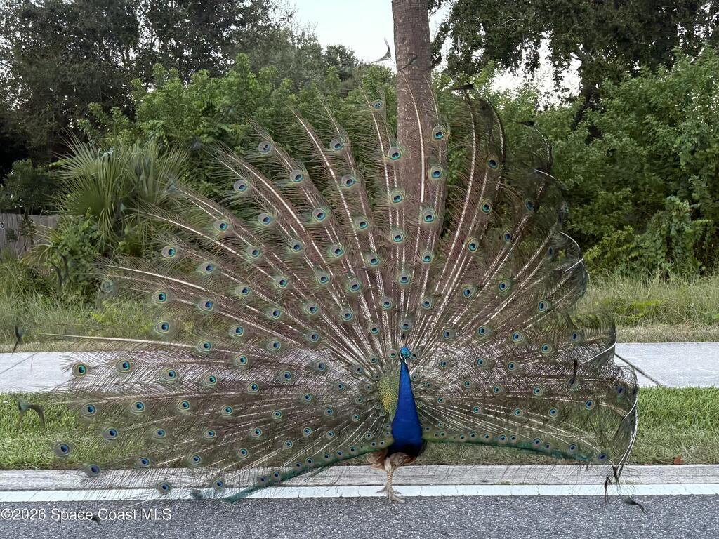 150 Portside Avenue, Cape Canaveral, FL 32920