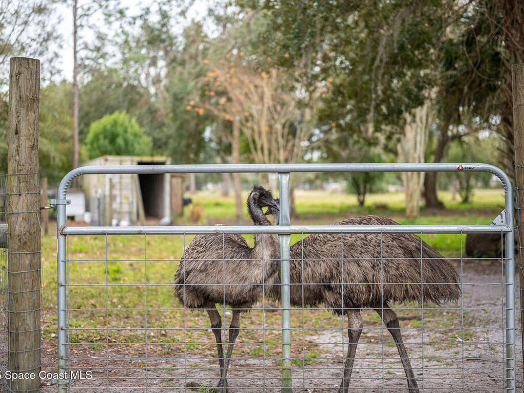 5000 Gandy Road, Mims, FL 32754