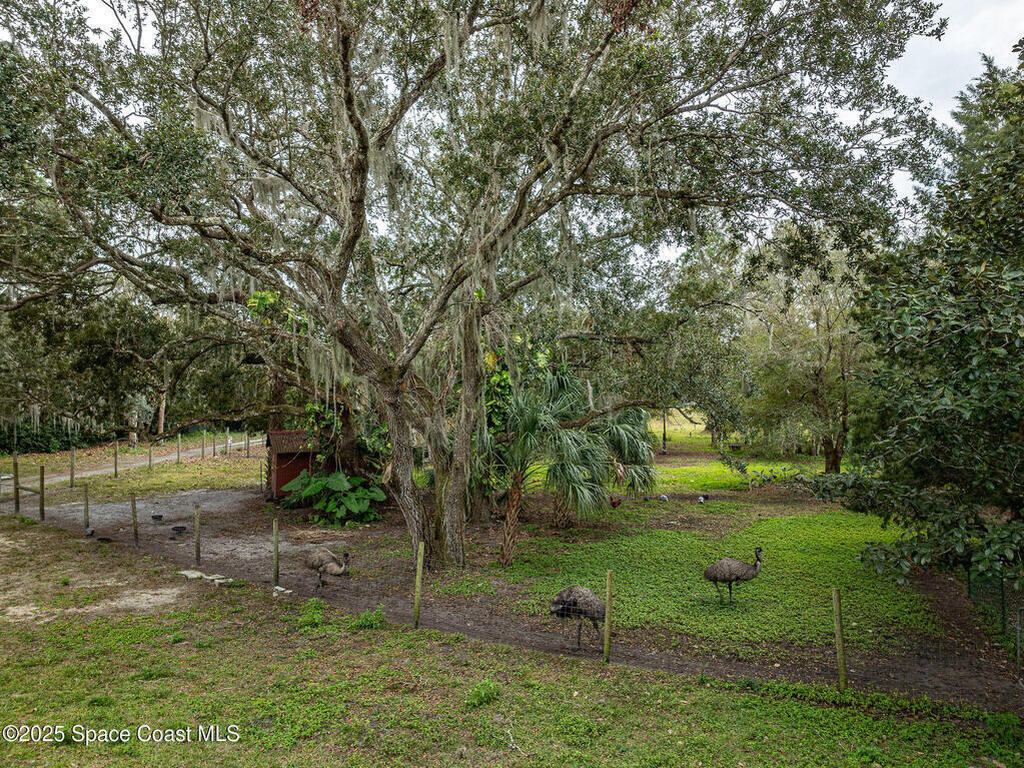 5000 Gandy Road, Mims, FL 32754