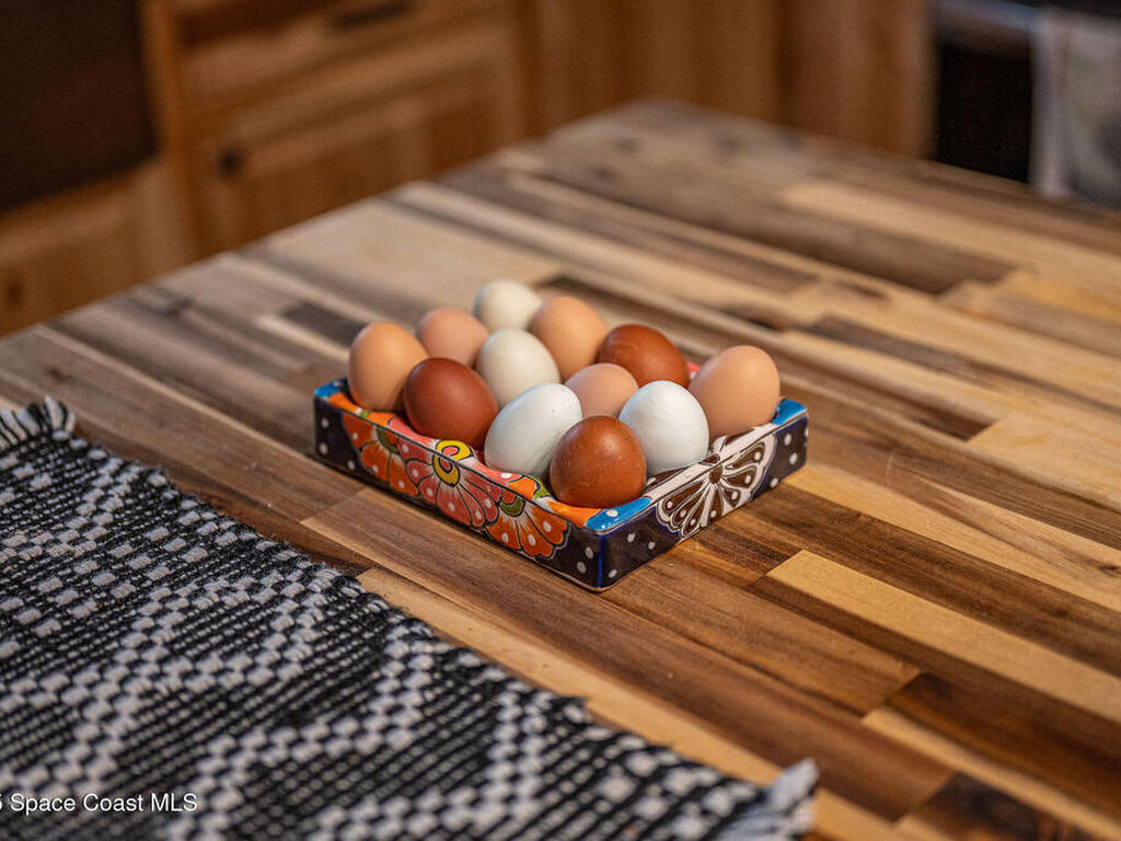 5000 Gandy Road, Mims, FL 32754