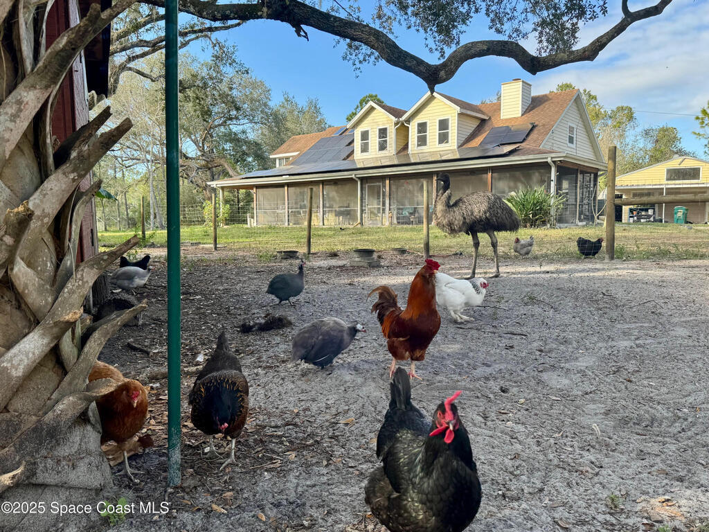 5000 Gandy Road, Mims, FL 32754