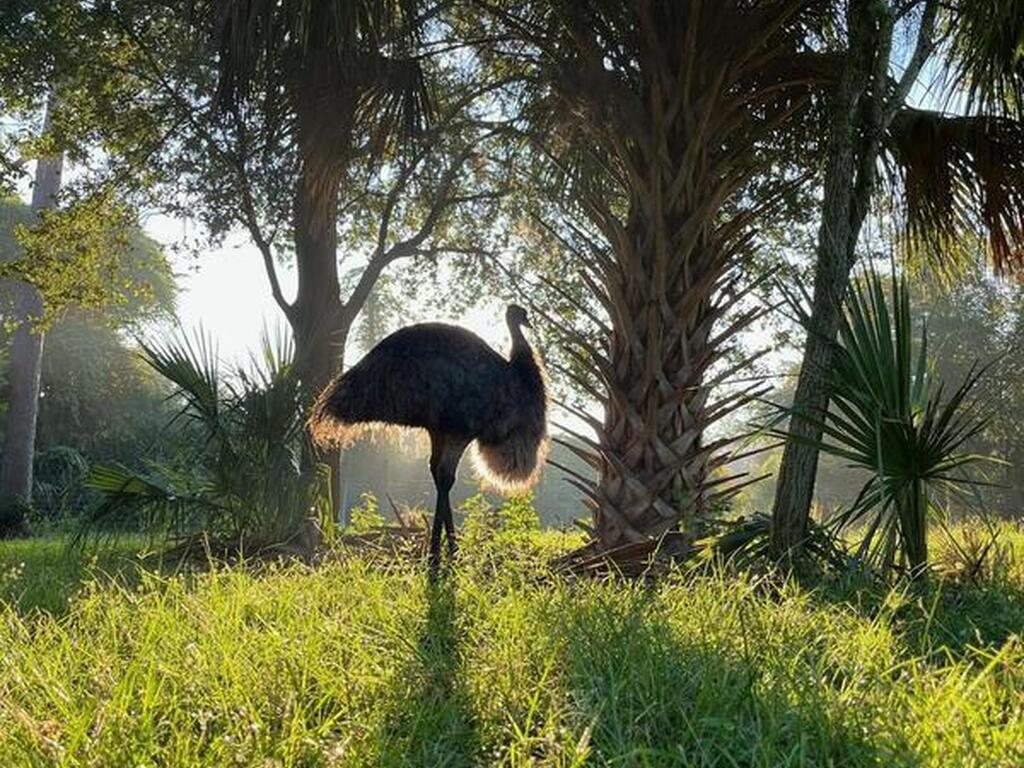 5000 Gandy Road, Mims, FL 32754