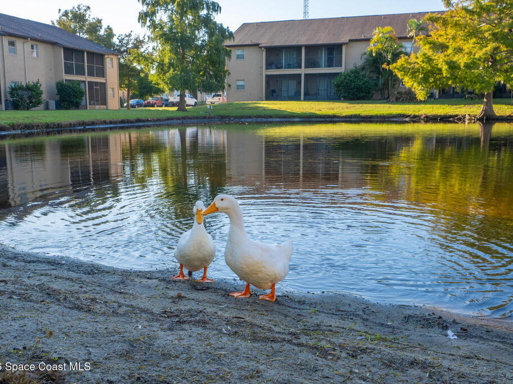 101 Summer Place, Merritt Island, FL 32953