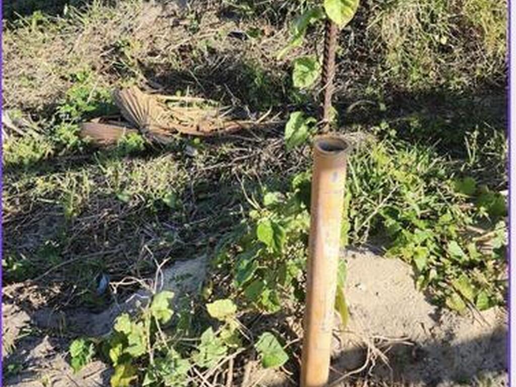 5241 N Highway 1 Highway, Palm Shores, FL 32940