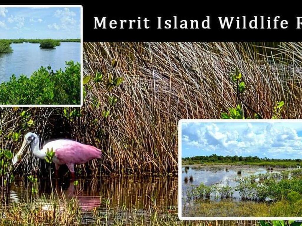 204 Adams Avenue, Cape Canaveral, FL 32920