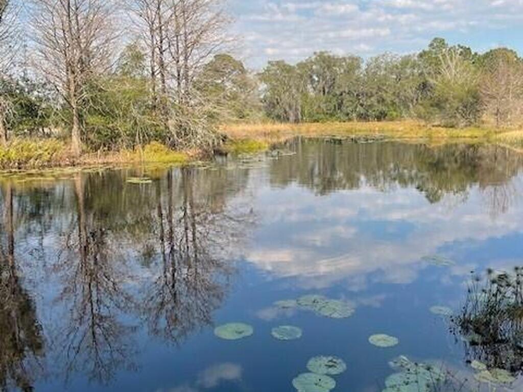 3624 Thal Road, Titusville, FL 32796