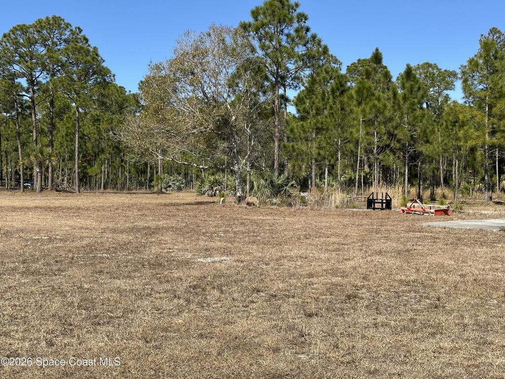 14650 87th Street, Fellsmere, FL 32948