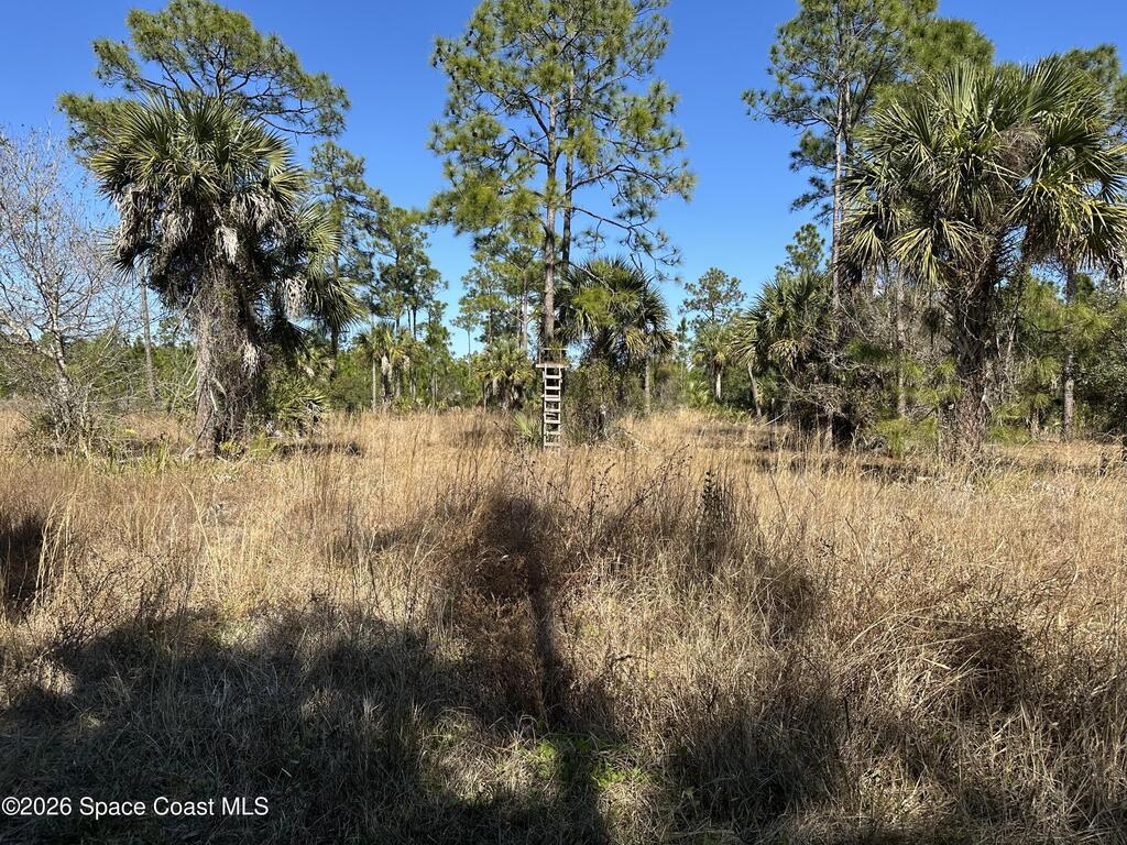 14650 87th Street, Fellsmere, FL 32948