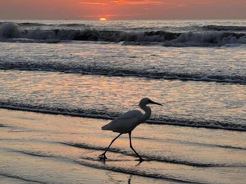 3925 Newport Street, Cocoa, FL 32927