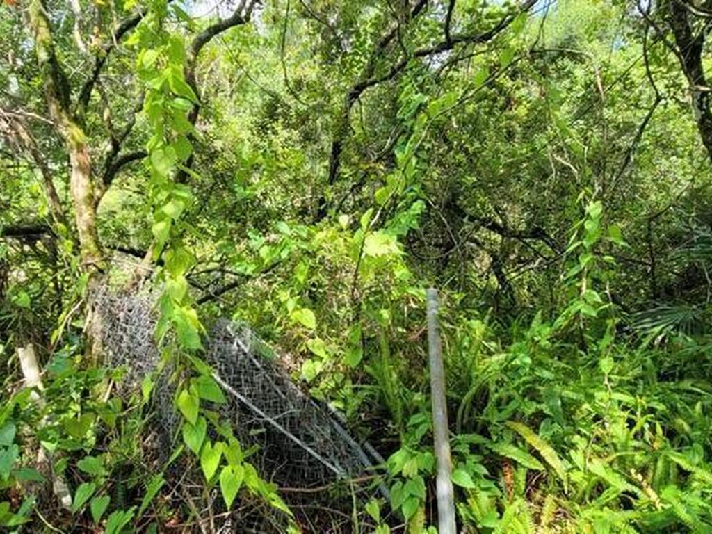 Unknown Woodland Hills Drive, Titusville, FL 32780