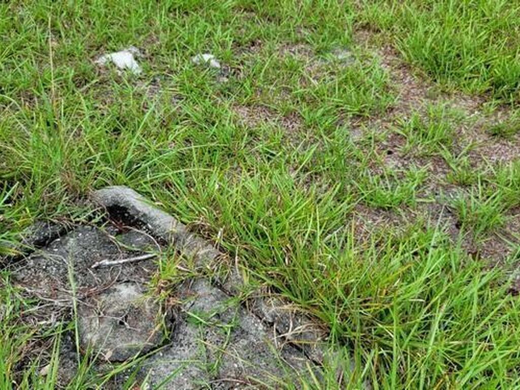 Unknown Woodland Hills Drive, Titusville, FL 32780