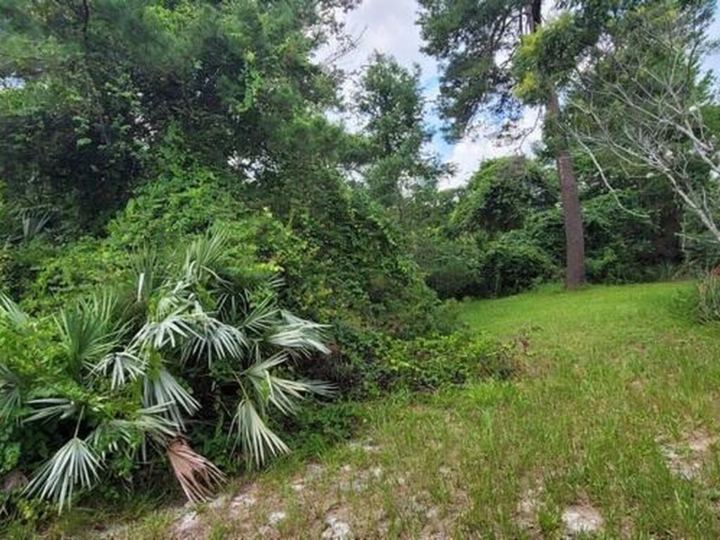 Unknown Woodland Hills Drive, Titusville, FL 32780