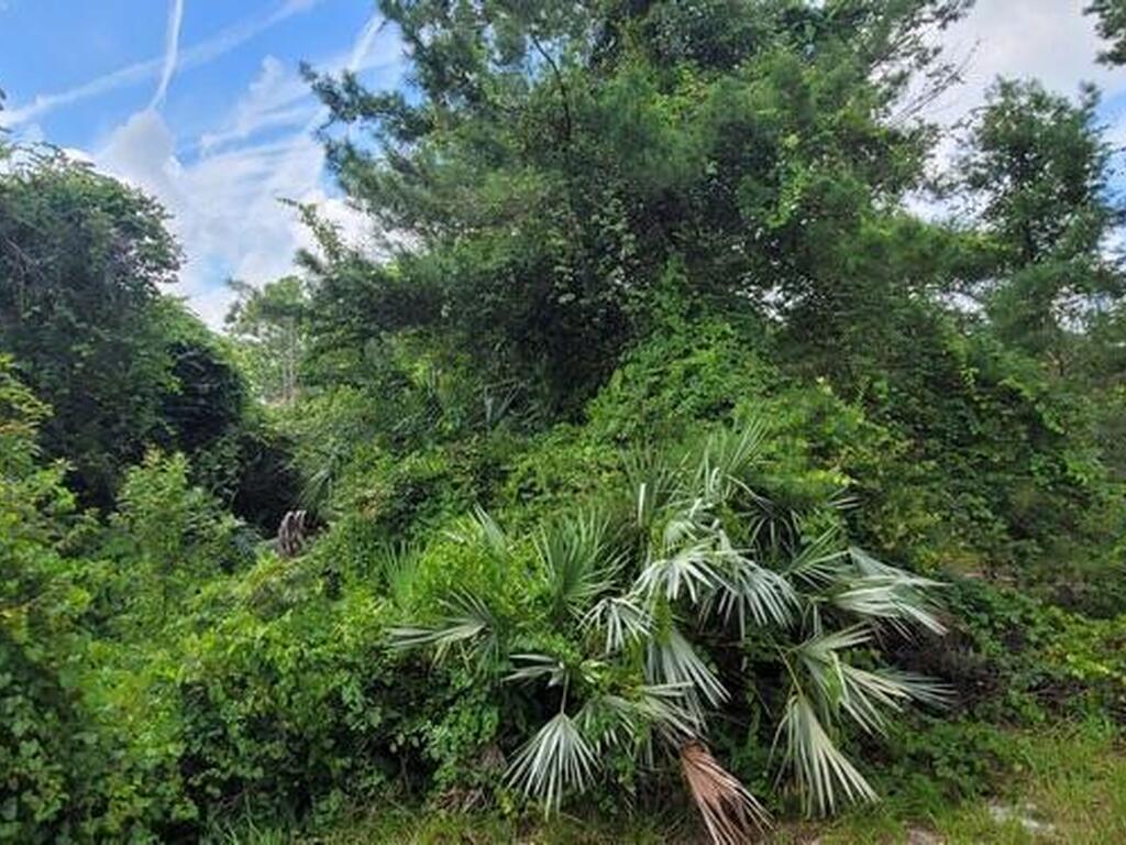 Unknown Woodland Hills Drive, Titusville, FL 32780