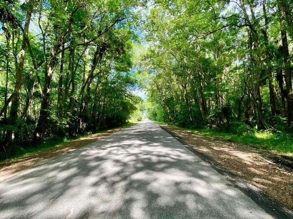 56304 Acorn Road, Astor, FL 32102