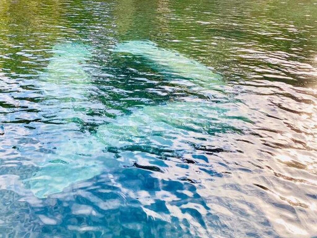 56304 Acorn Road, Astor, FL 32102