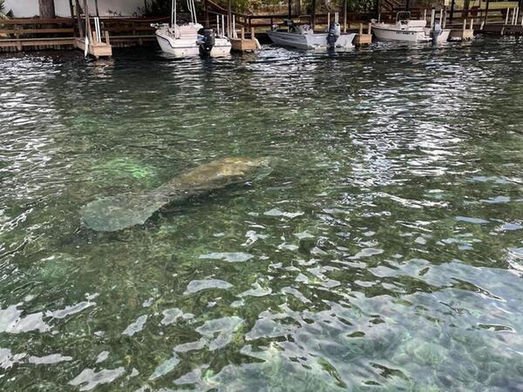 56304 Acorn Road, Astor, FL 32102