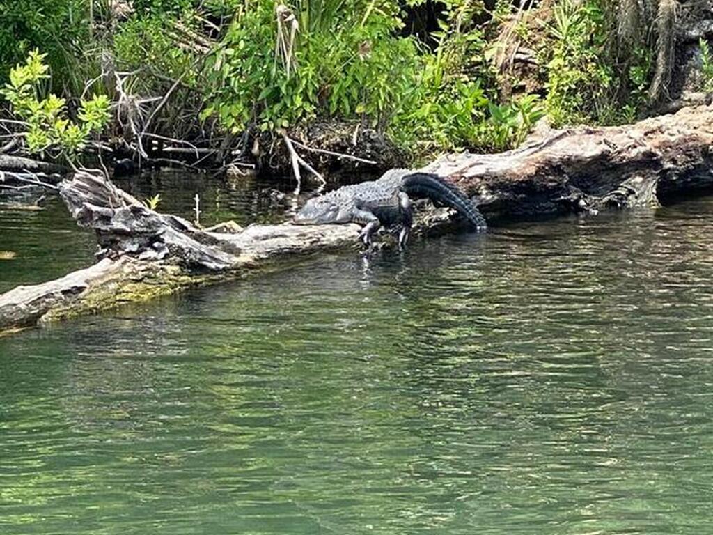 56304 Acorn Road, Astor, FL 32102