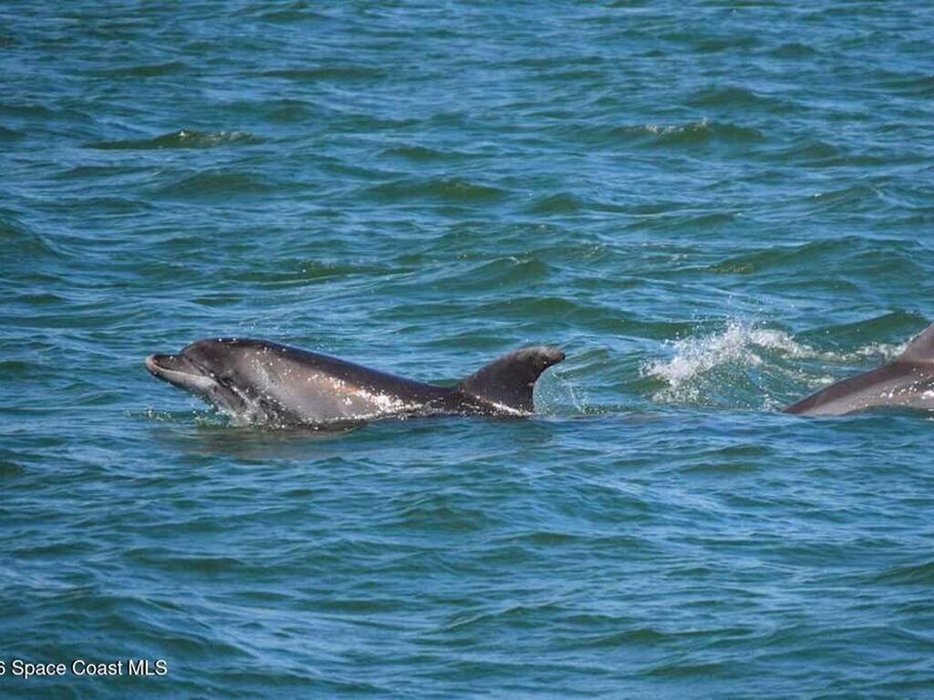 6485 Topaz Drive, Grant, FL 32949