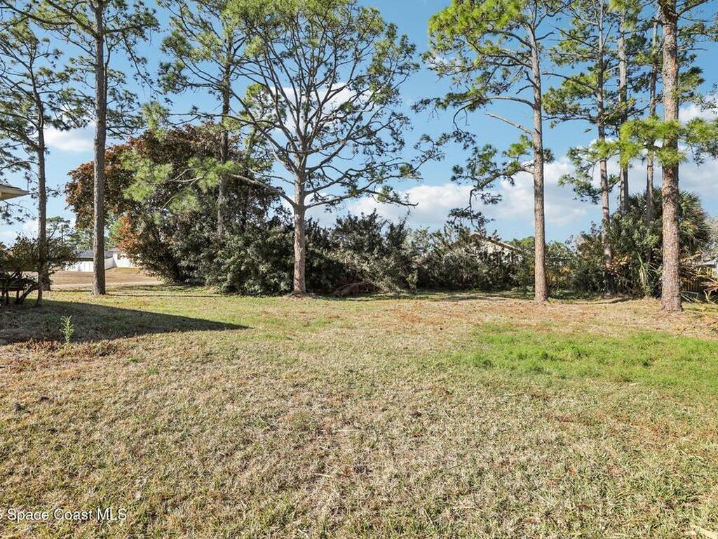 1731 Radisson Street, Palm Bay, FL 32907