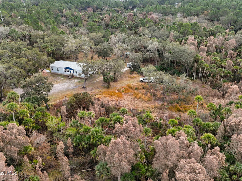 9175 Freedom Road, Mims, FL 32754