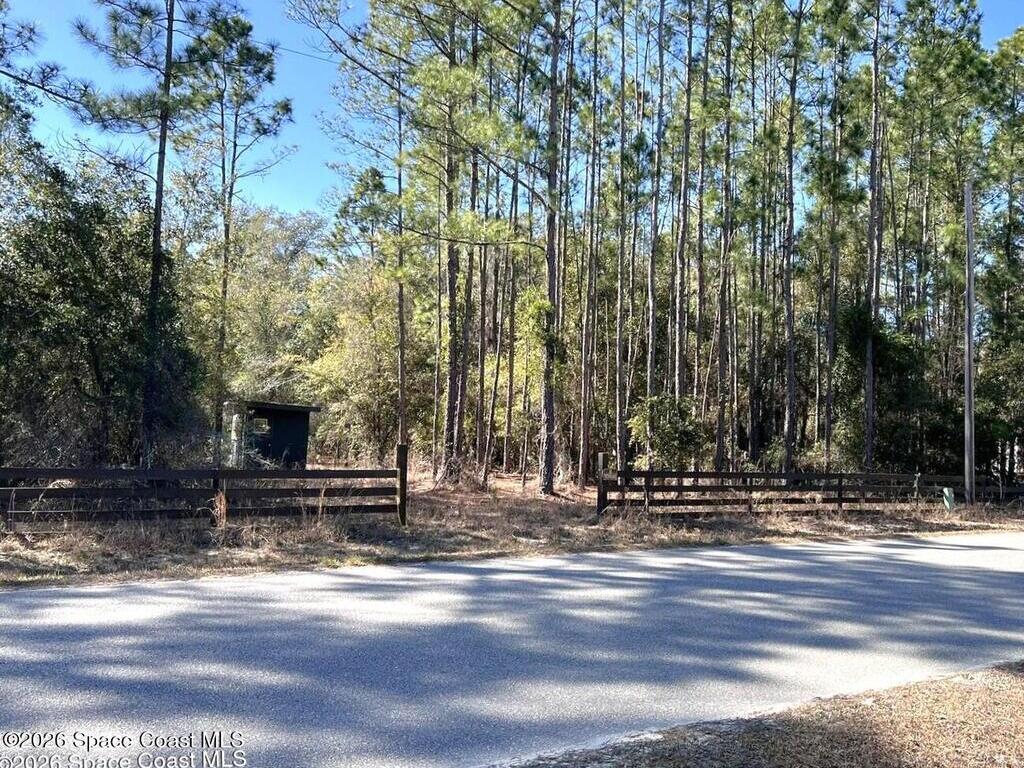 181 Lakeway Drive, Georgetown, FL 32139