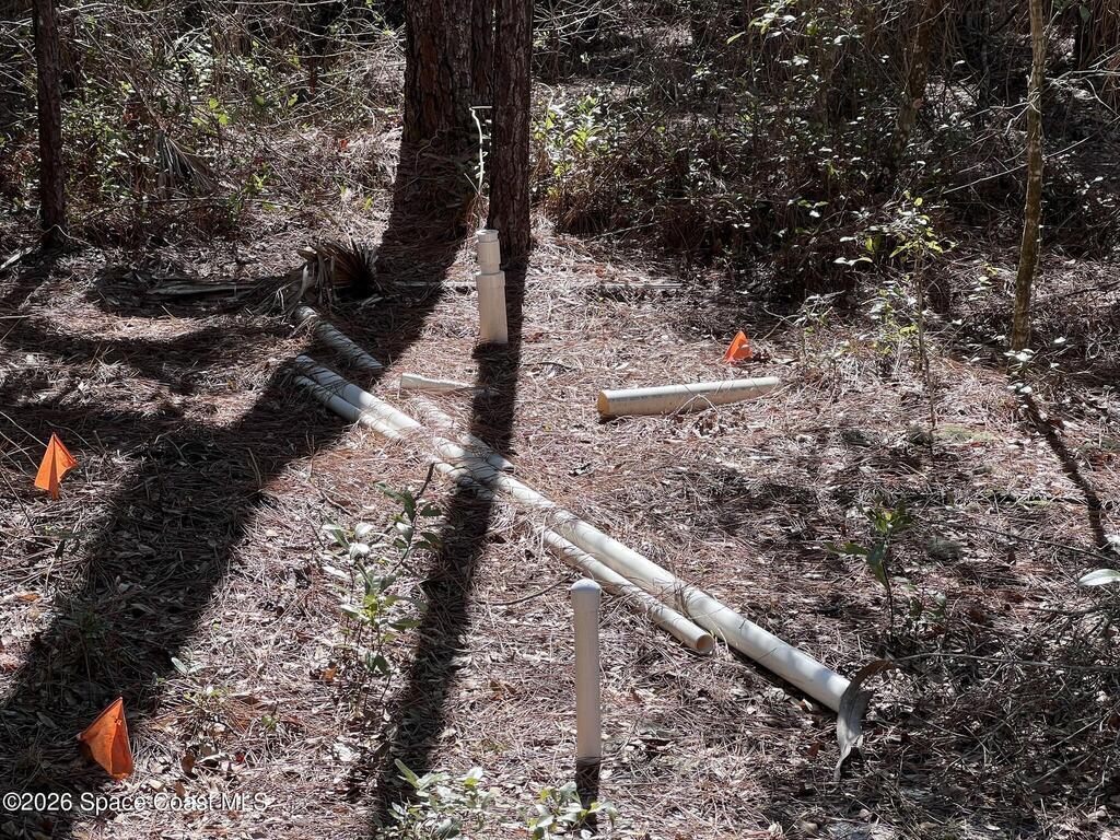 181 Lakeway Drive, Georgetown, FL 32139