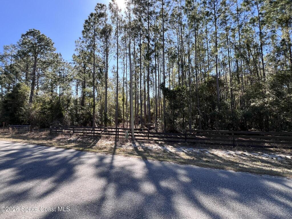 181 Lakeway Drive, Georgetown, FL 32139