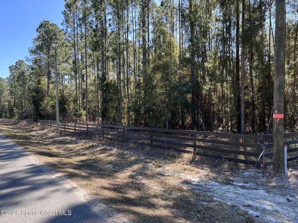 181 Lakeway Drive, Georgetown, FL 32139