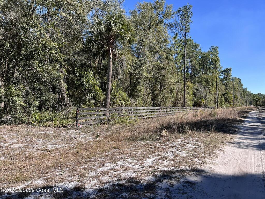 181 Lakeway Drive, Georgetown, FL 32139