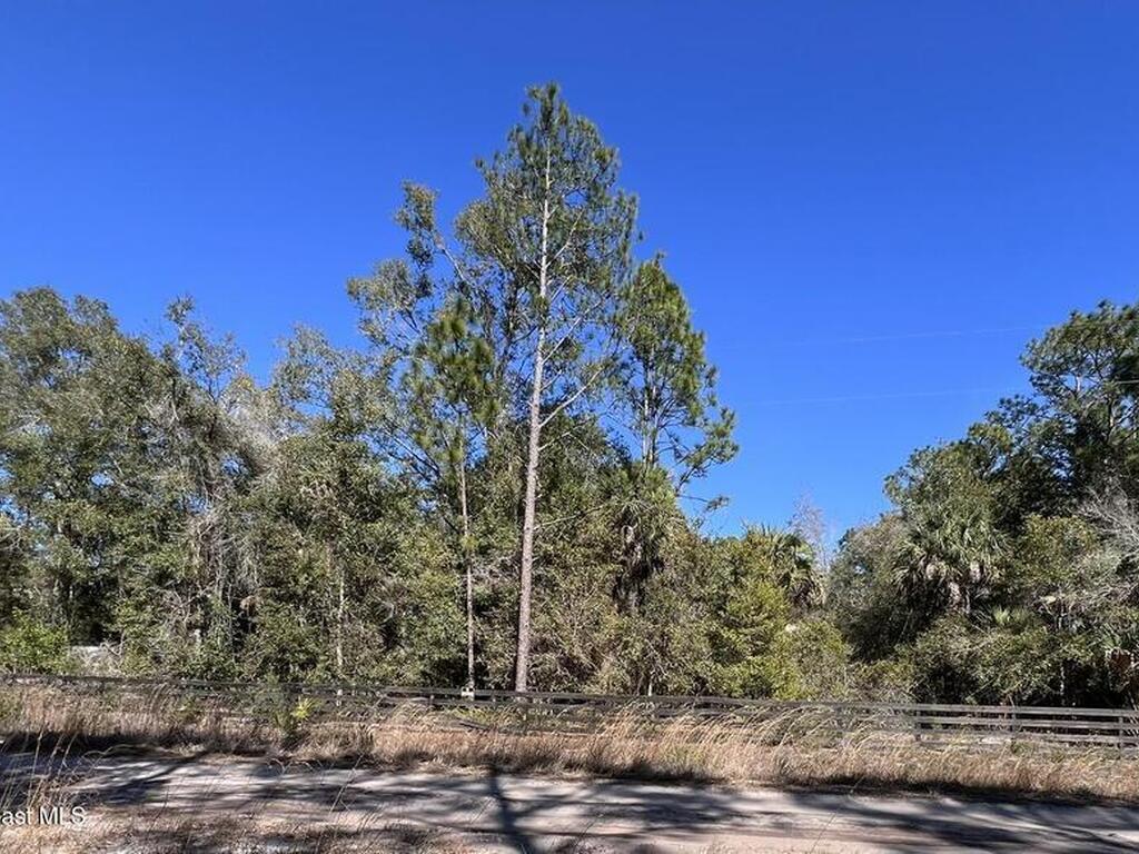 181 Lakeway Drive, Georgetown, FL 32139