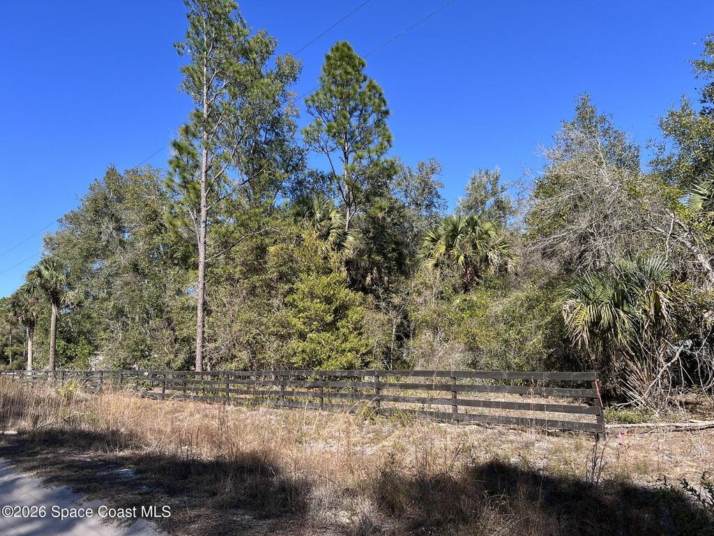 181 Lakeway Drive, Georgetown, FL 32139