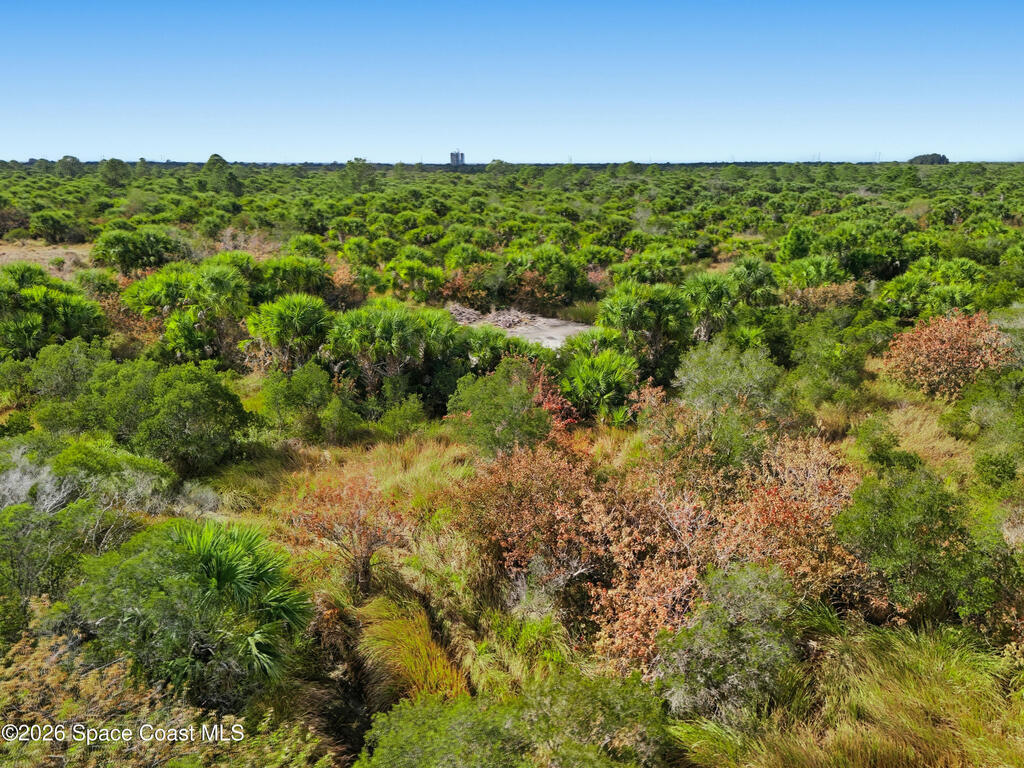 1005 Cartret Street, Palm Bay, FL 32908