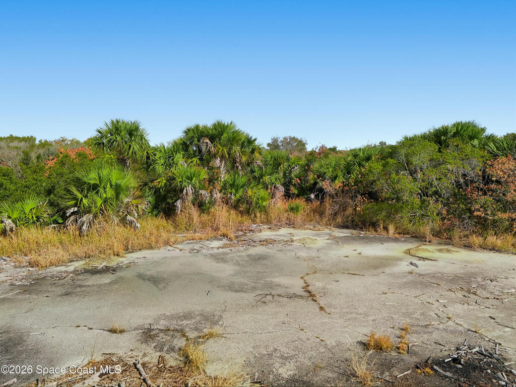 1005 Cartret Street, Palm Bay, FL 32908