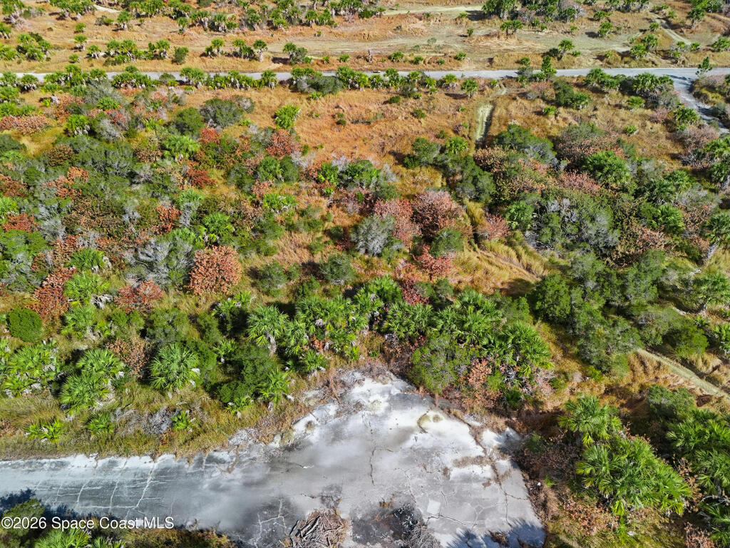 1005 Cartret Street, Palm Bay, FL 32908