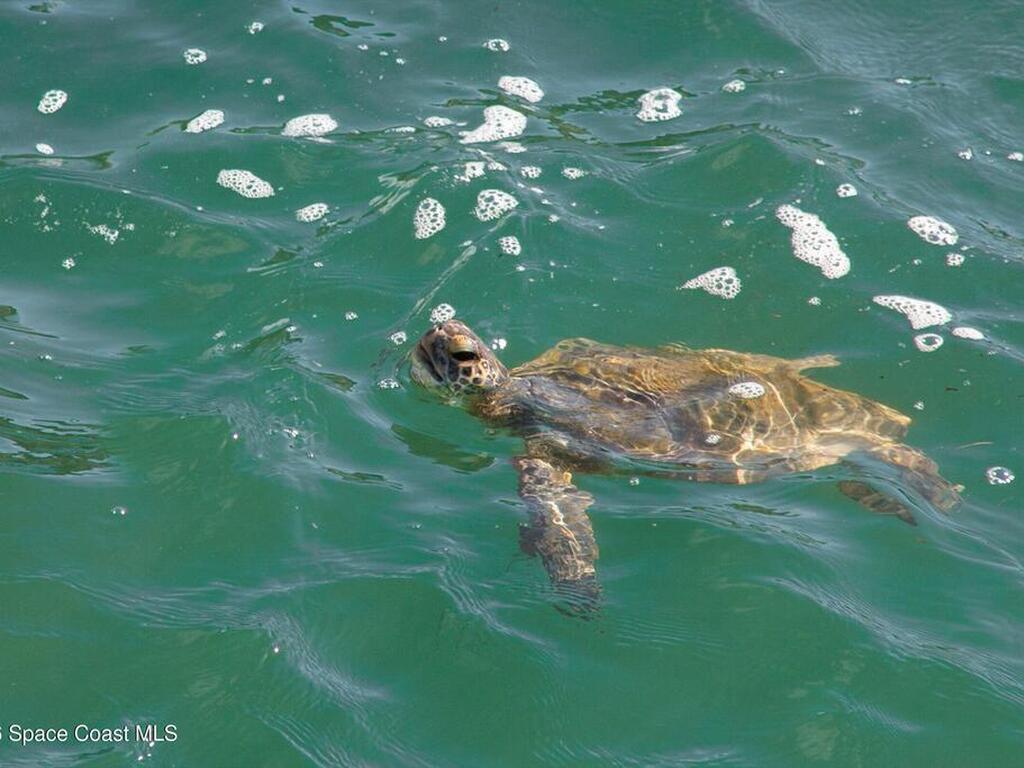 213 E Grant Avenue, Cocoa Beach, FL 32931