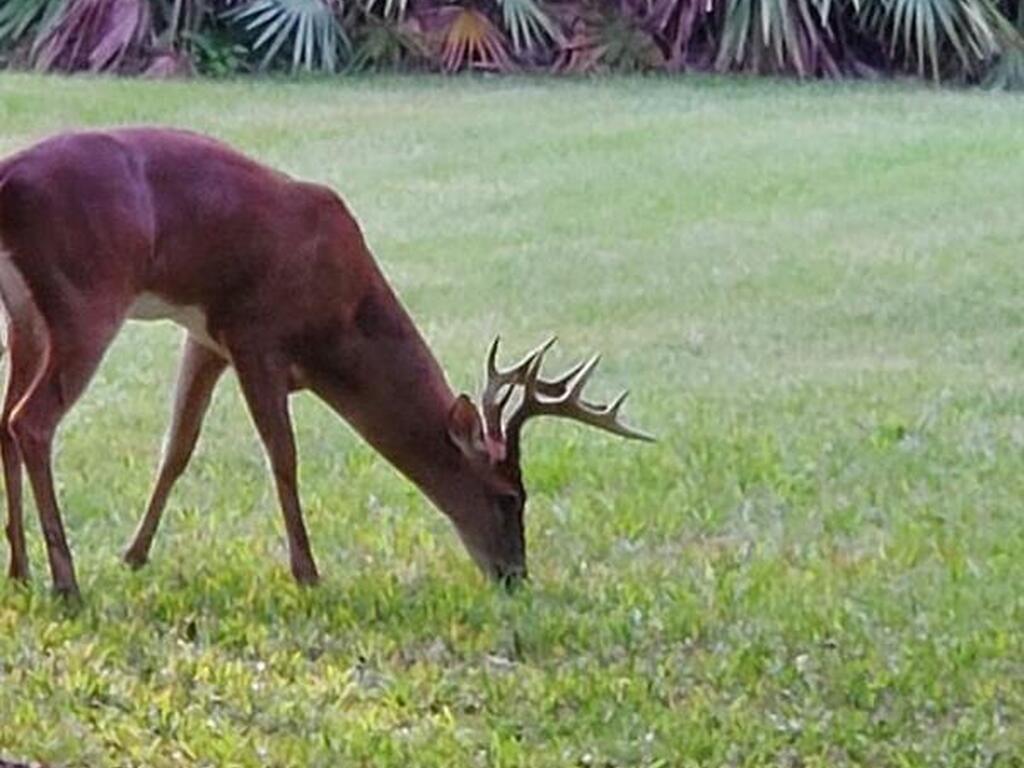 32801 Us Highway 441 Highway, Okeechobee, FL 34972