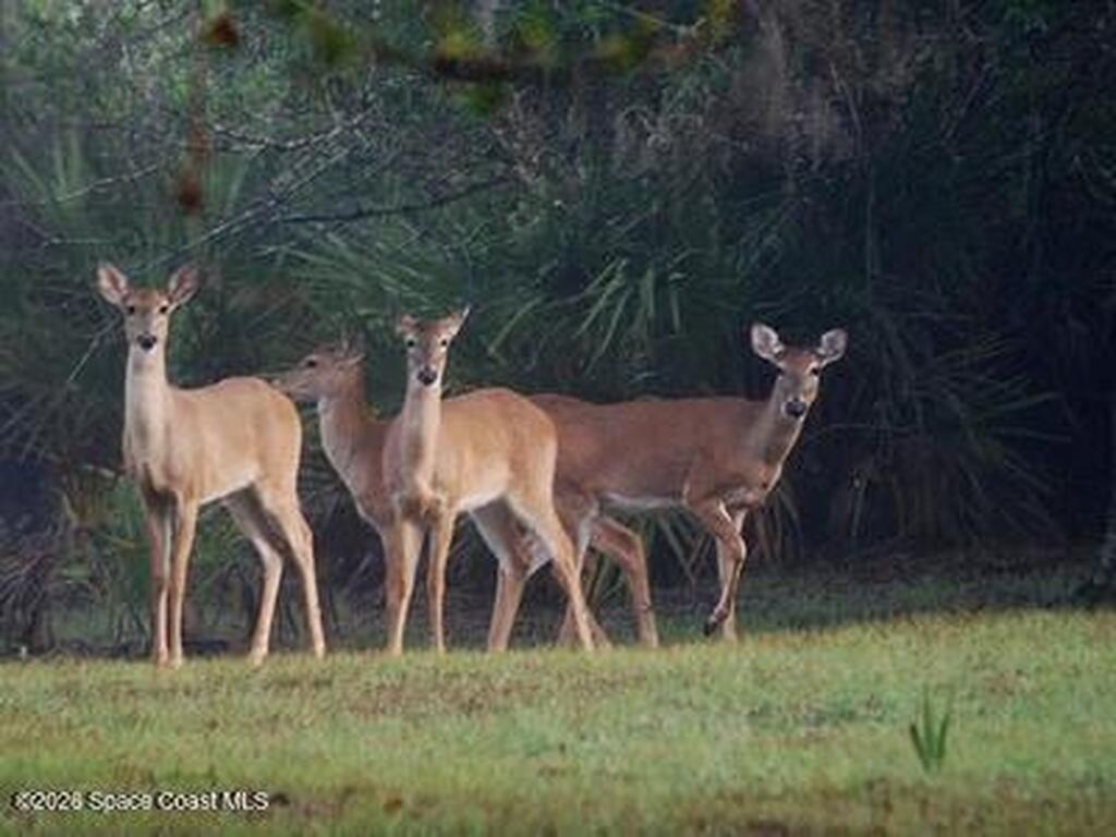 32801 Us Highway 441 Highway, Okeechobee, FL 34972