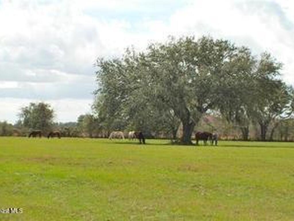 32801 Us Highway 441 Highway, Okeechobee, FL 34972