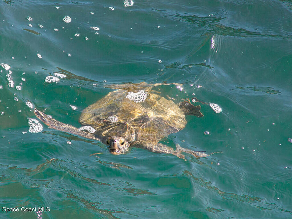 586 N Wickham Road, Melbourne, FL 32935