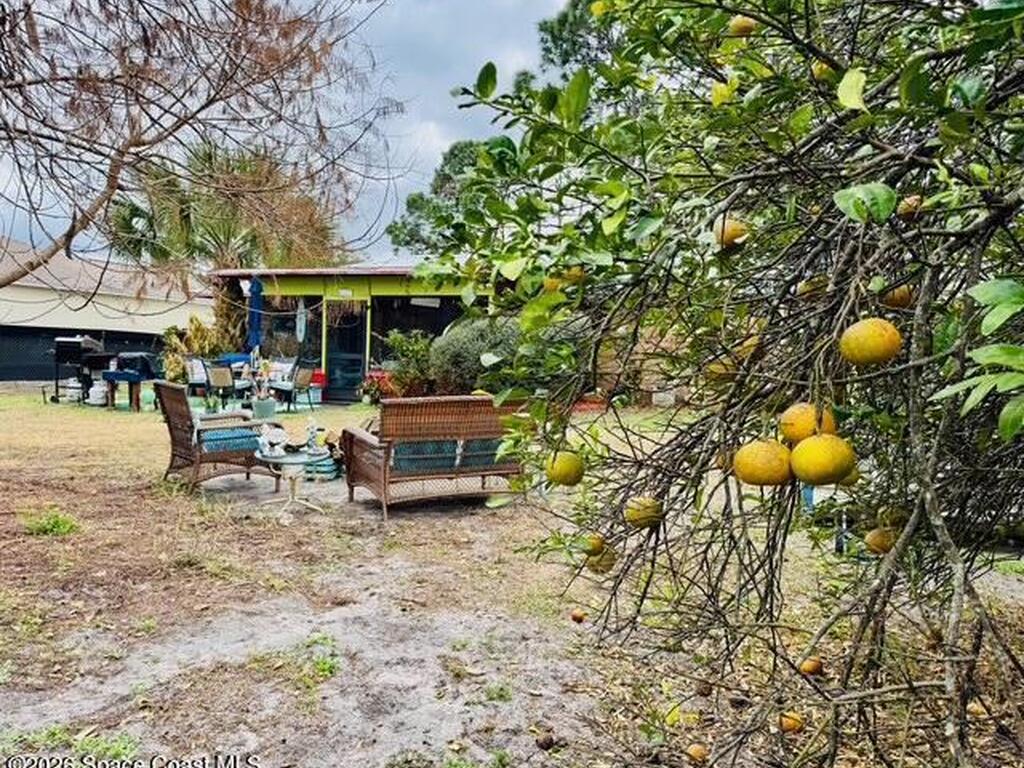 171 Brannon Street, Palm Bay, FL 32908