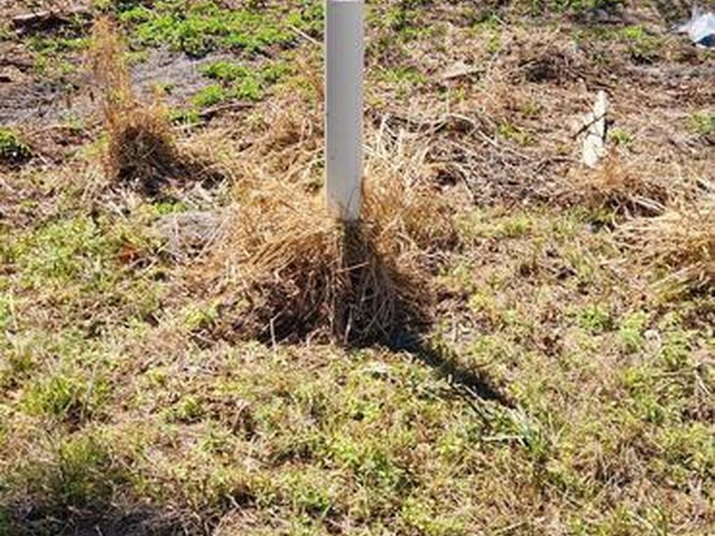 1011 Montclair Road, Cocoa, FL 32922