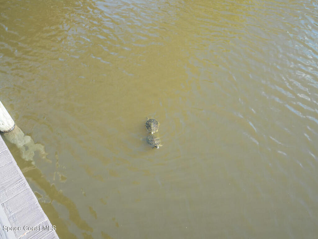 555 Limerick Drive, Merritt Island, FL 32953