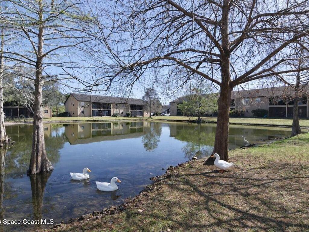 280 Spring Drive, Merritt Island, FL 32953