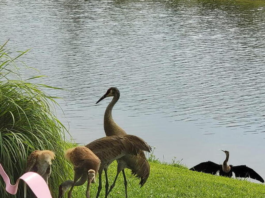 12127 SW Jasper Lake Way, Port St. Lucie, FL 34987