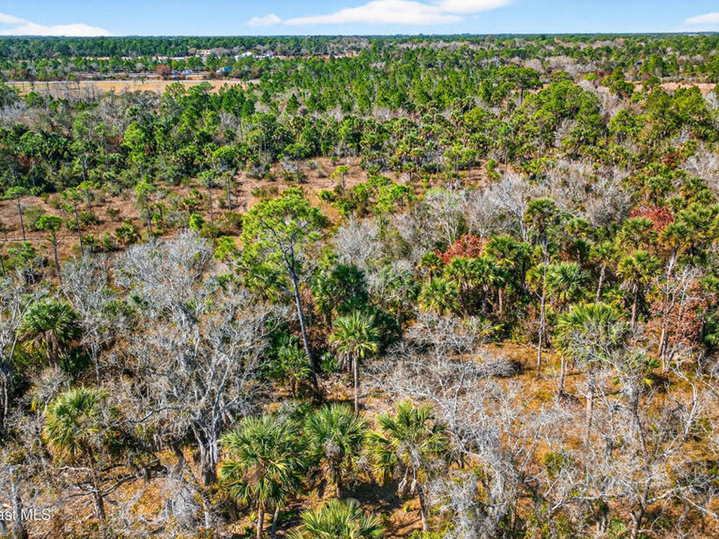 000 Old Mission Road, Malabar, FL 32950