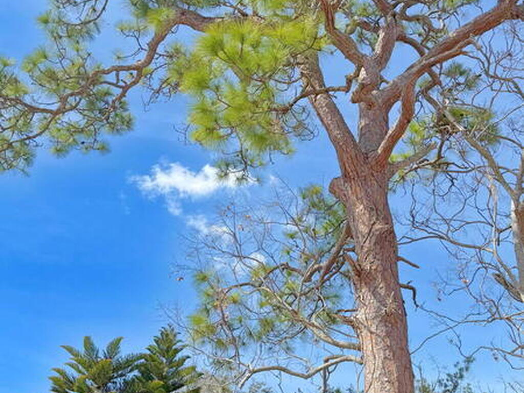 4205 Grovewood Lane, Titusville, FL 32780