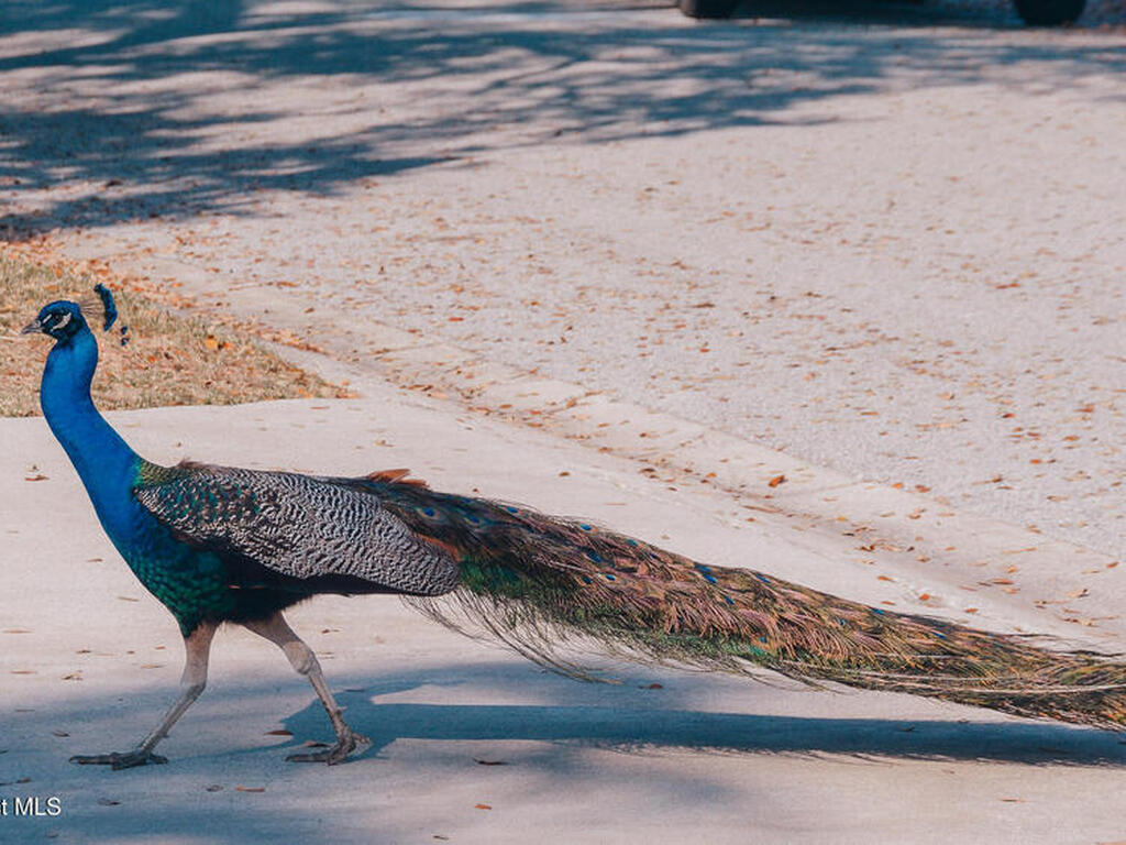 211 Circle Drive, Cape Canaveral, FL 32920