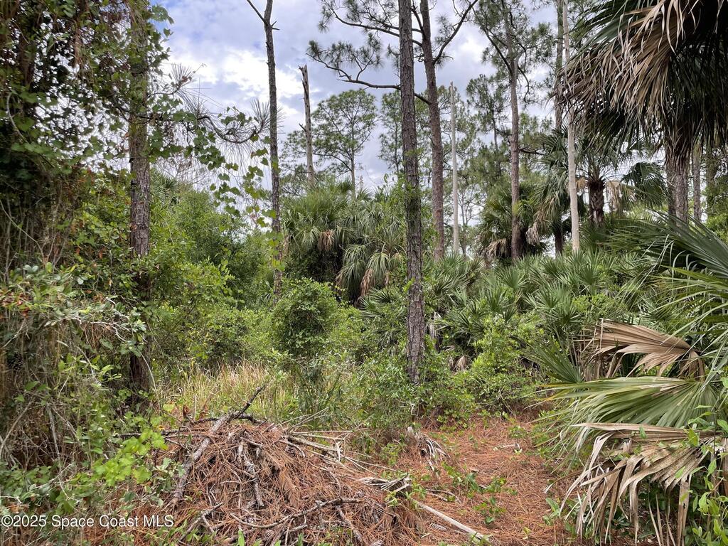 662 Sanford Street, Palm Bay, FL 32908