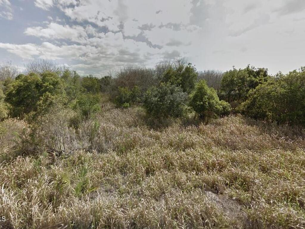 1558 Burney Street, Palm Bay, FL 32908